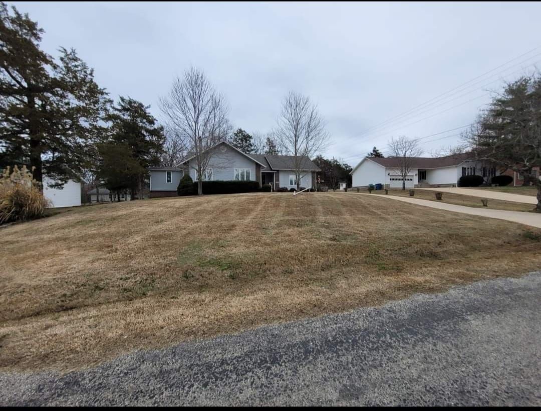 Houses on a slightly sloped lawn, dry grass, overcast sky, paved road.
