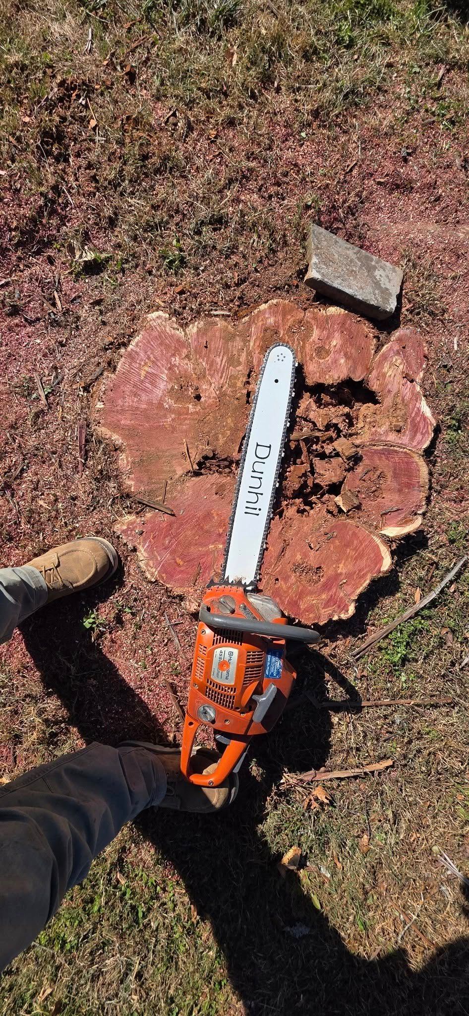 A chainsaw on a tree stump covered in wood chips. Orange chainsaw.