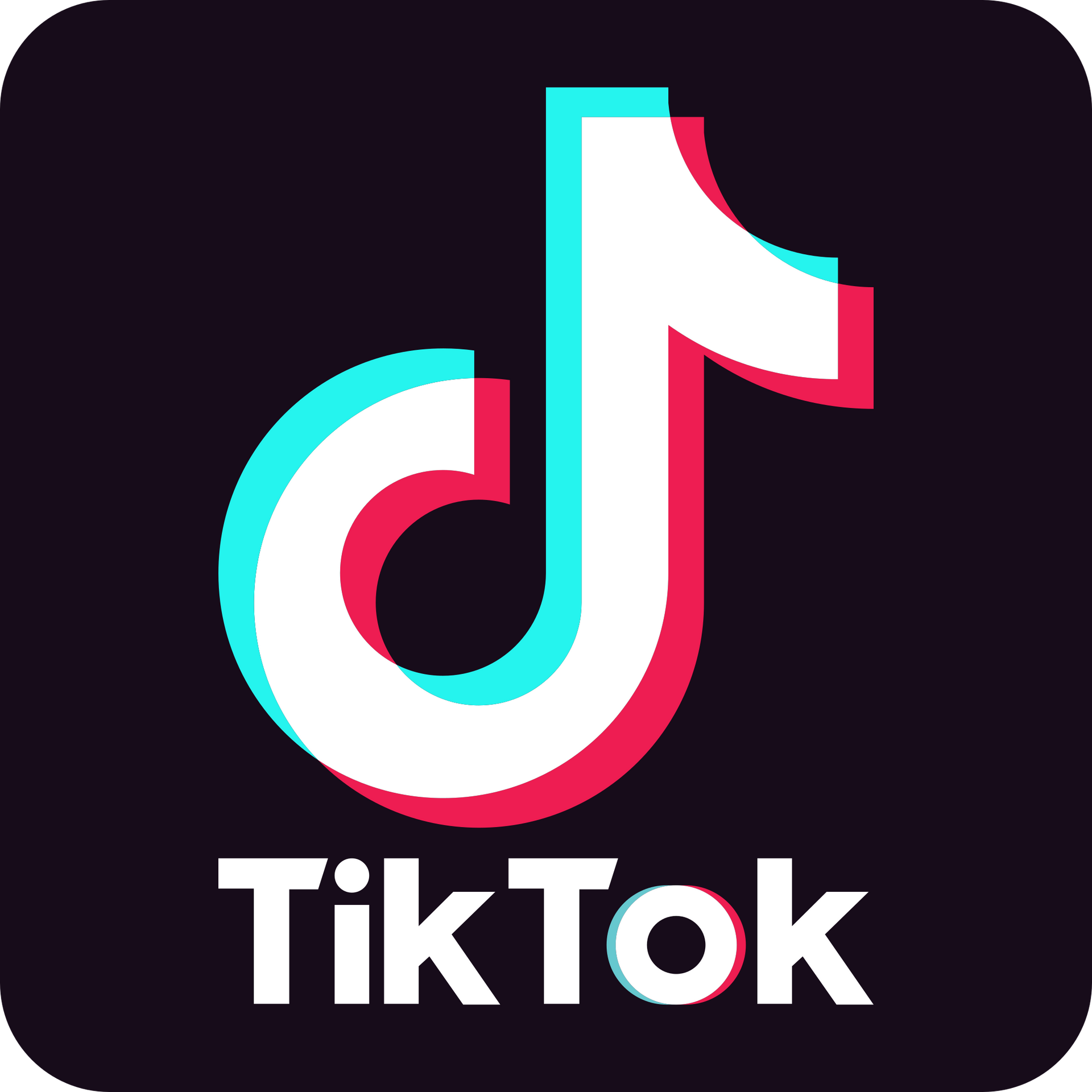 Accelerated-Pro all-in-one marketing and sales platform - Tik Tok