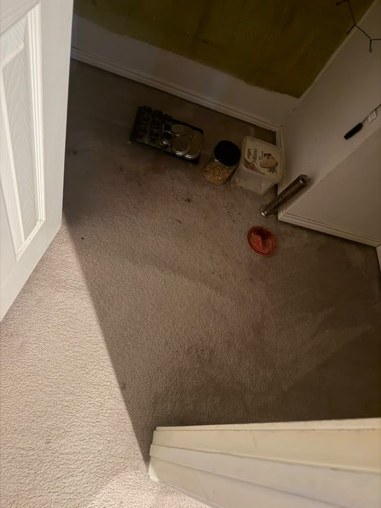 Carpeted hallway landing with pet bowls and a toy near a white door and stairway.