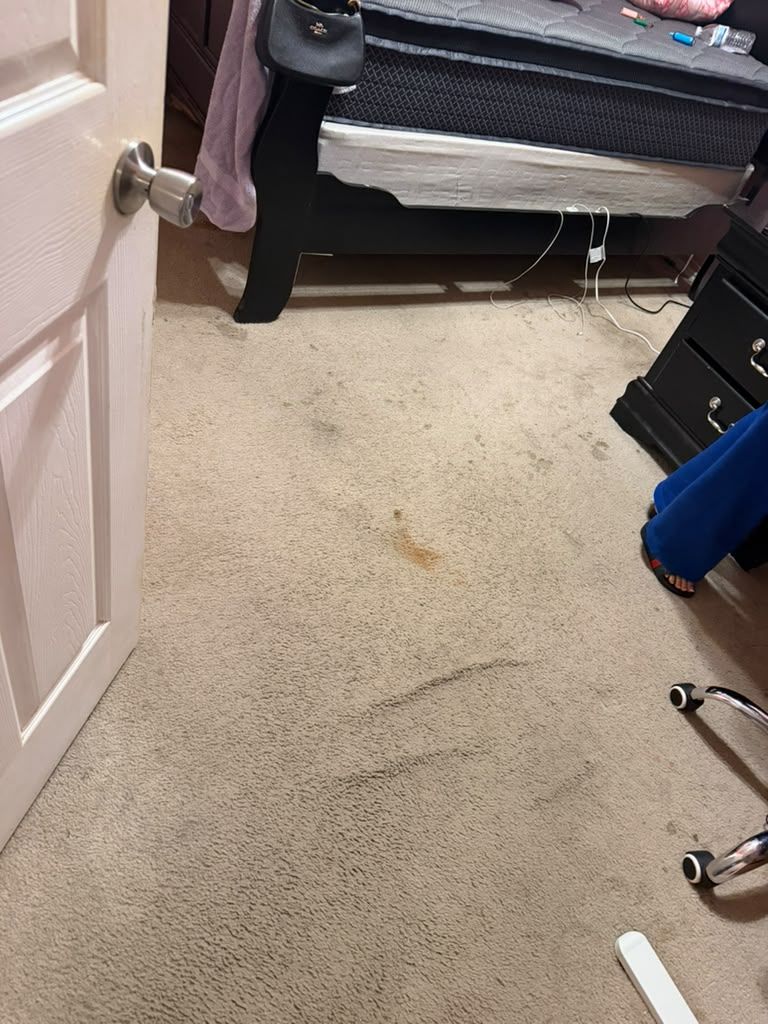 Carpeted bedroom floor with a bed, open door, and office chair at the edge of the frame.