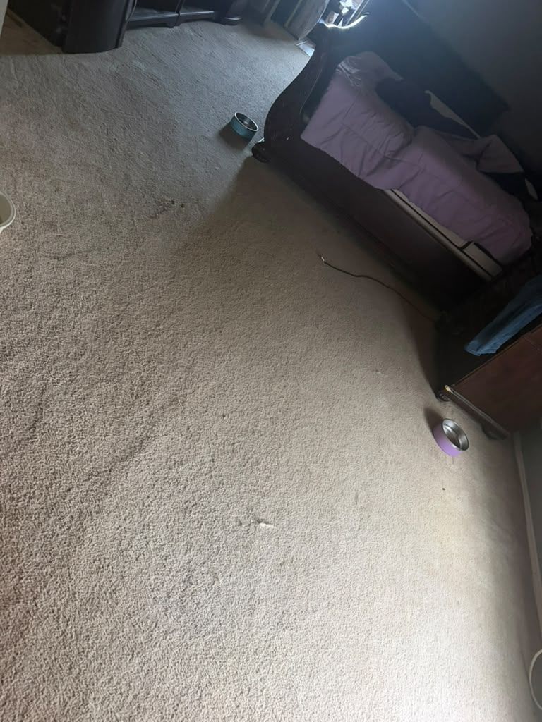Empty carpeted room with a dark couch, purple blanket, and small scattered items on the floor