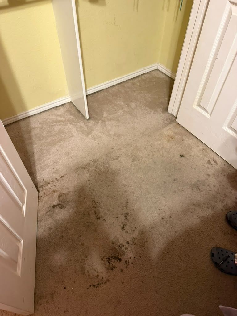 Carpeted closet floor with dark stains and open white doors in a hallway.