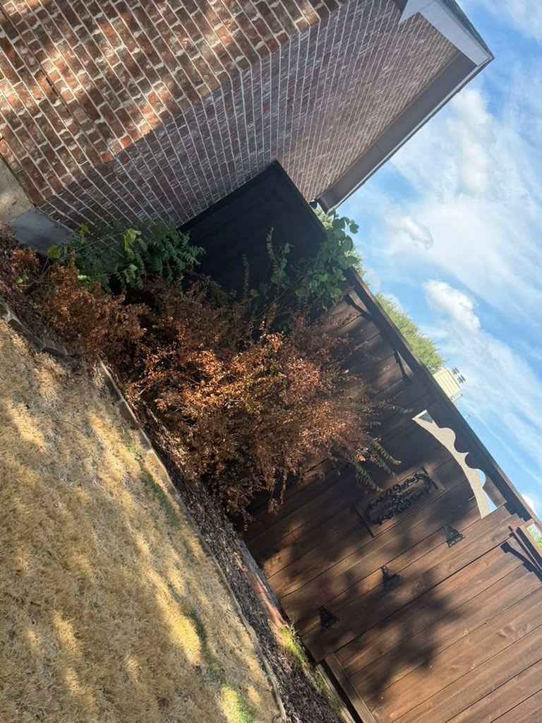 Brick building and shrubs beside a sidewalk under a partly cloudy blue sky.