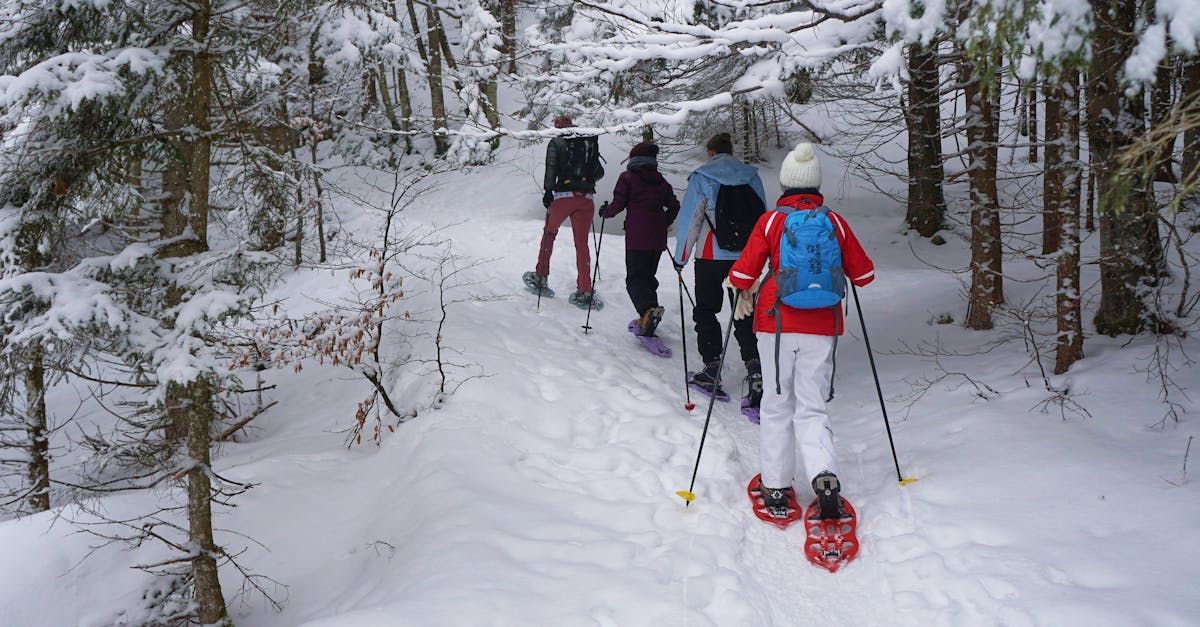 Snowshoes