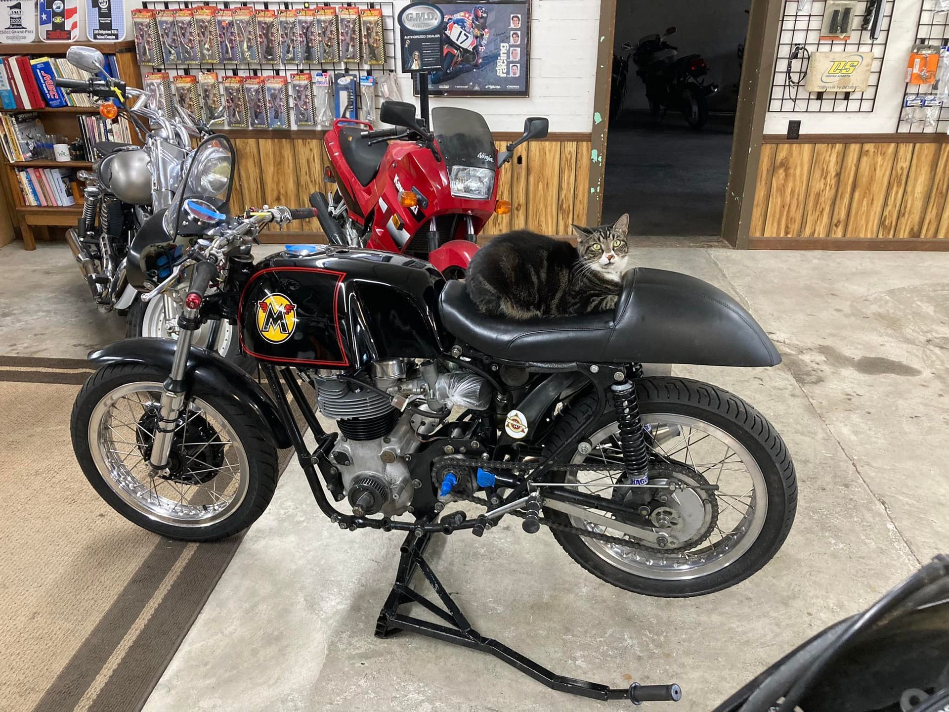 A cat sits on the back of a motorcycle in a garage
