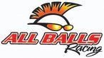 The all balls racing logo has a mohawk on it.