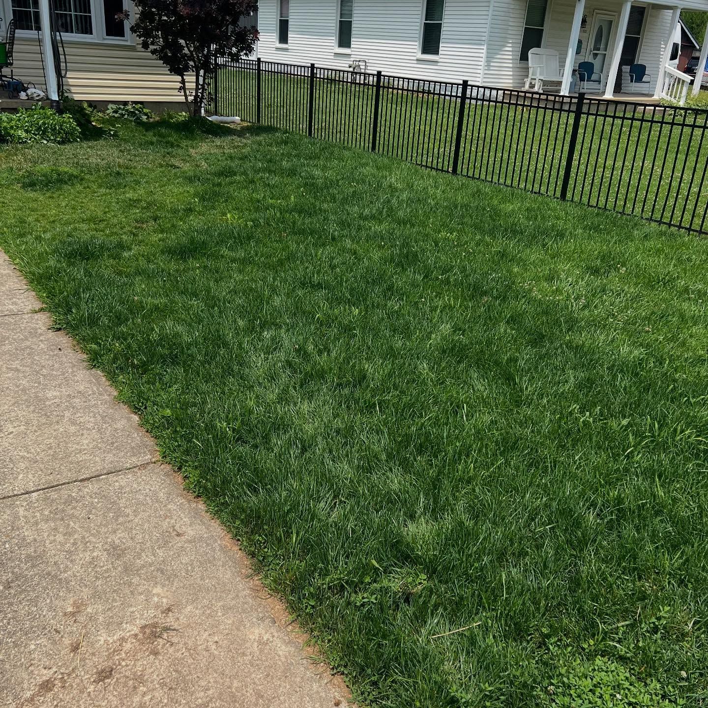 A lush green lawn with a fence in front of a house.