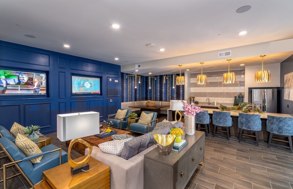 Upscale rental property photo, high-end amenities