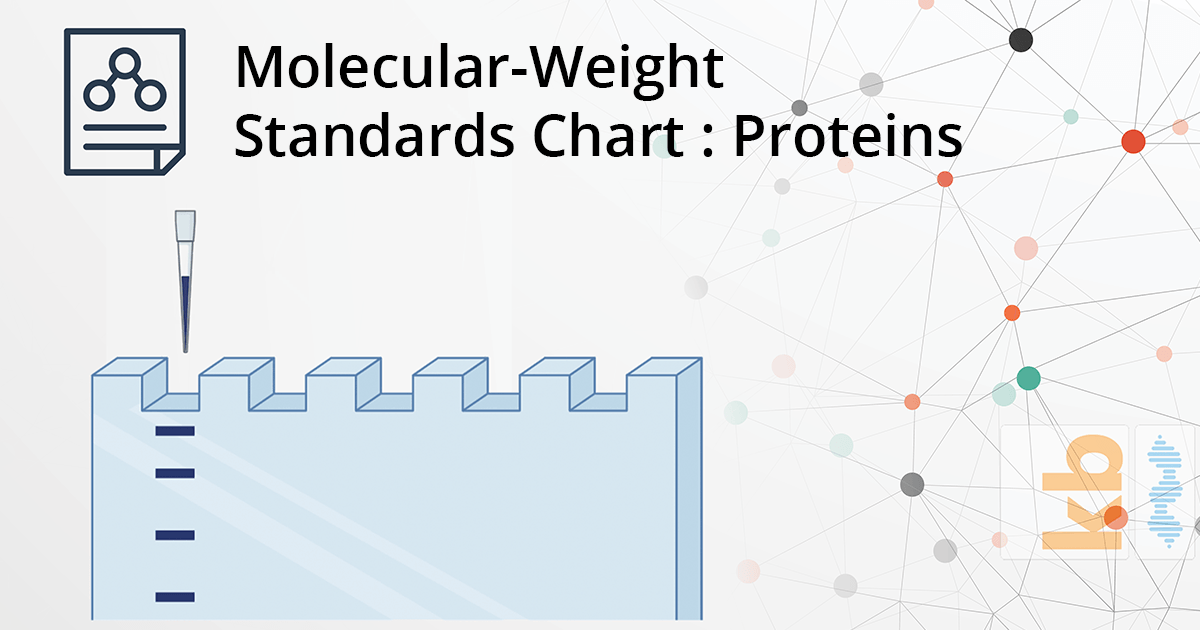MolecularWeight Standards Chart Reference Proteins