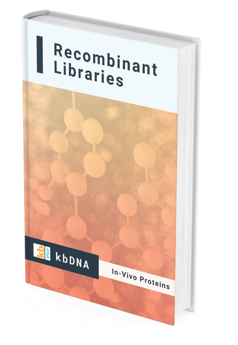 Libraries Biotinylated Proteins kbDNA