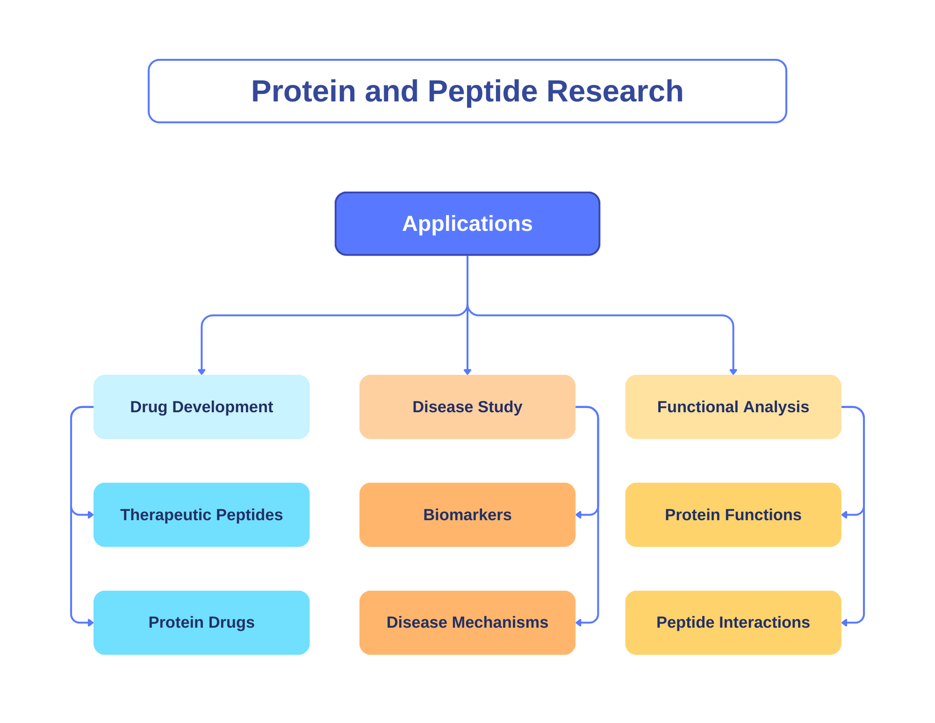 A diagram showing the different types of protein and peptide research