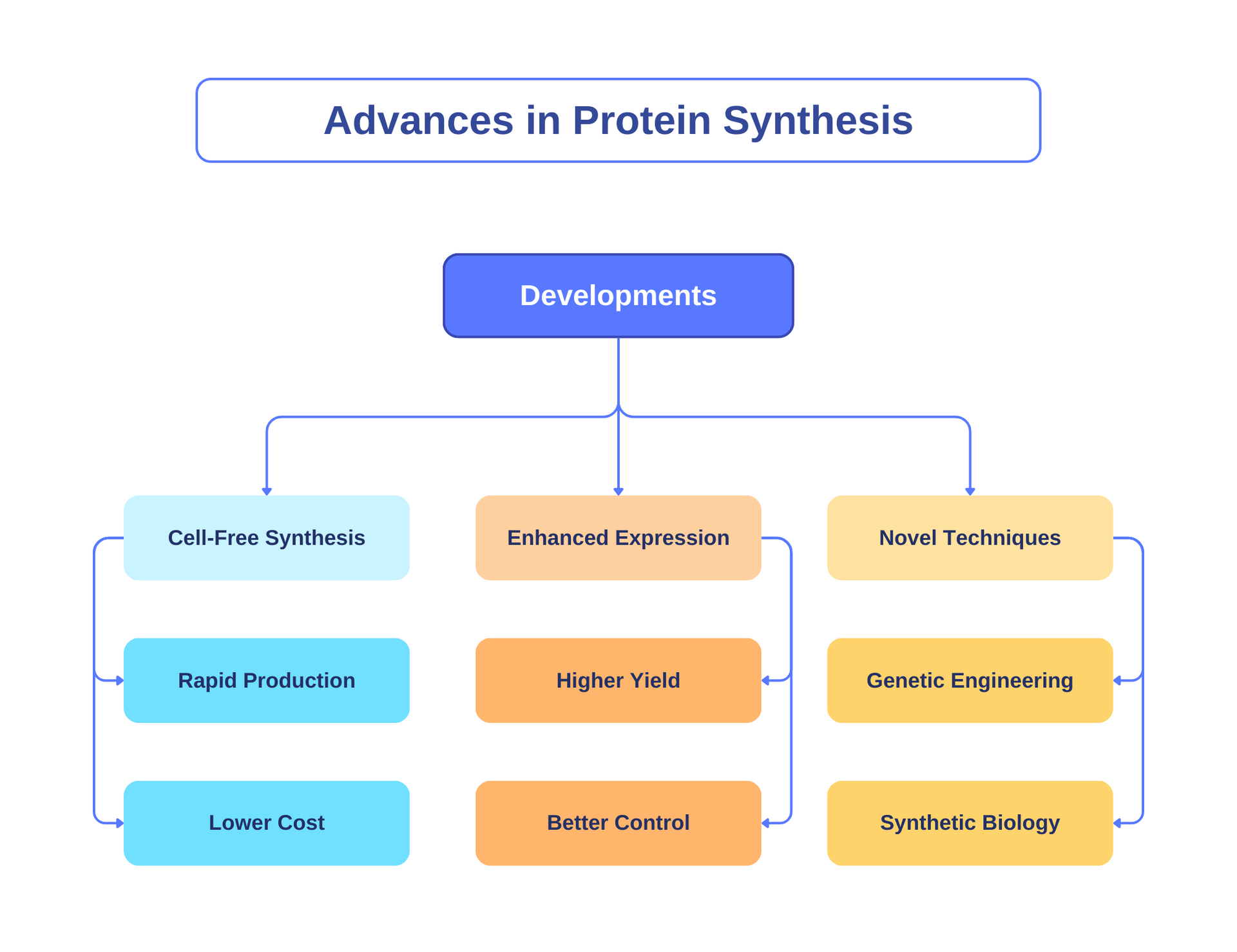 A diagram showing the advances in protein synthesis