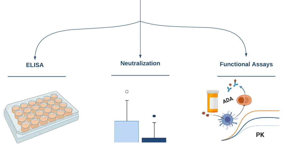 Biosimiliars and kbdna