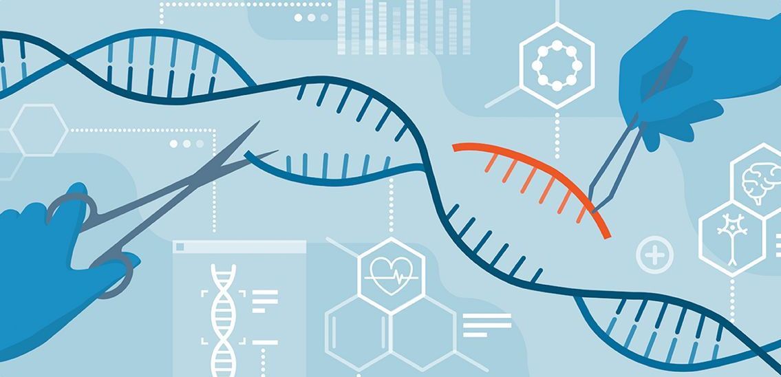 A person is cutting a dna strand with scissors and tweezers.