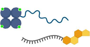 A cartoon illustration of a molecule and a chain of molecules.