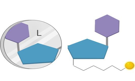 Our DNA Synthesis Toolbox, kbdna