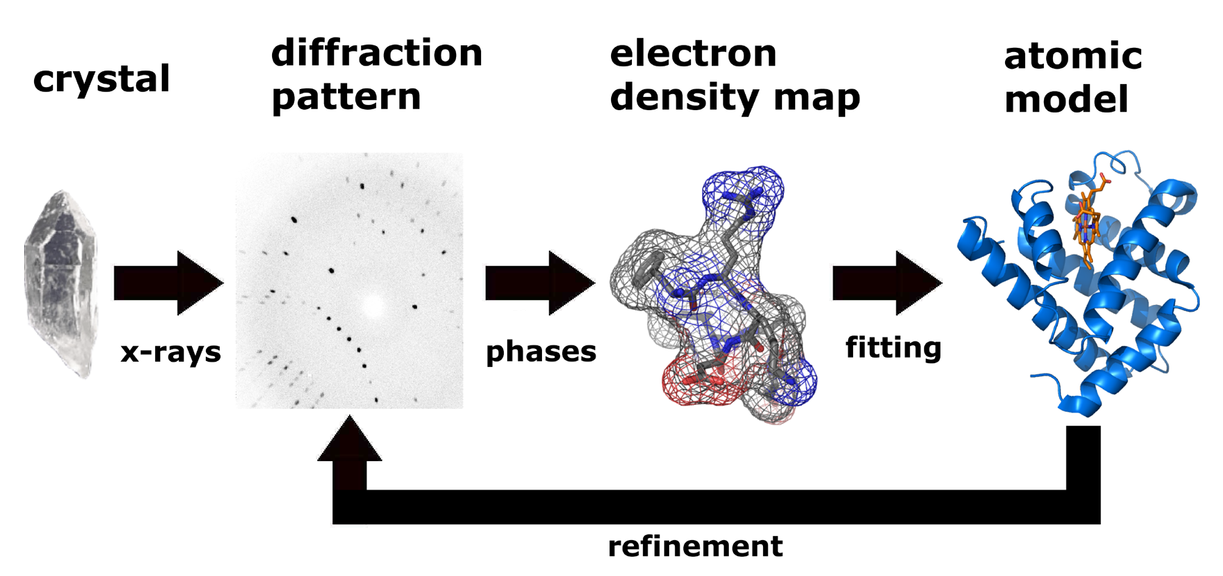 x-ray crystallography | kbDNA