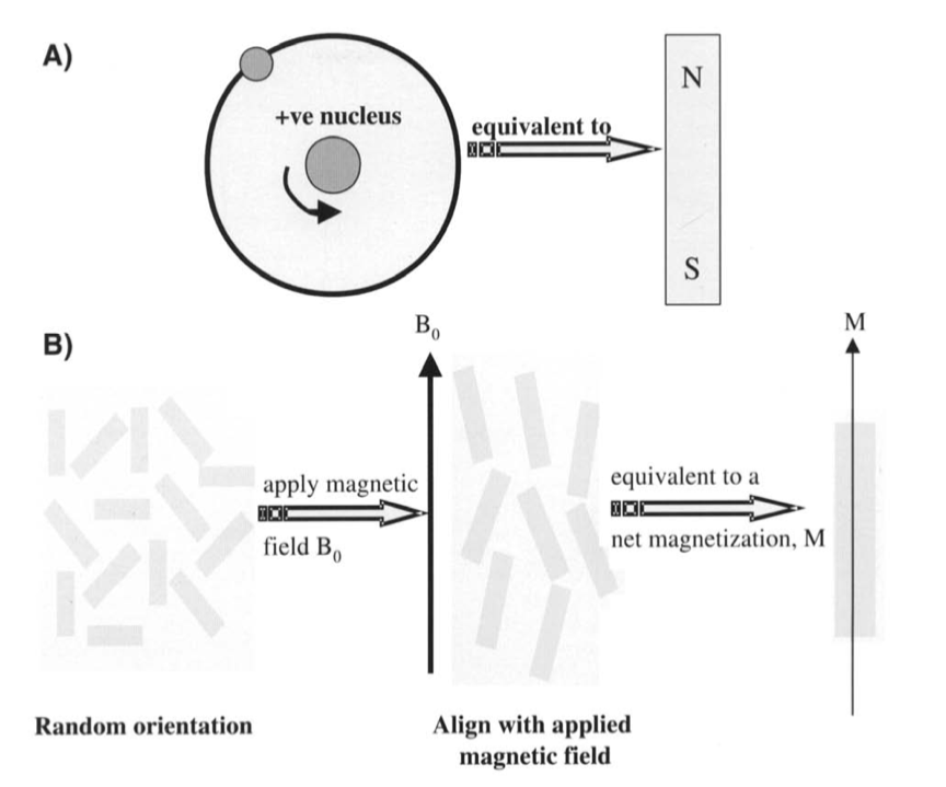 NMR Spectroscopy | kbDNA
