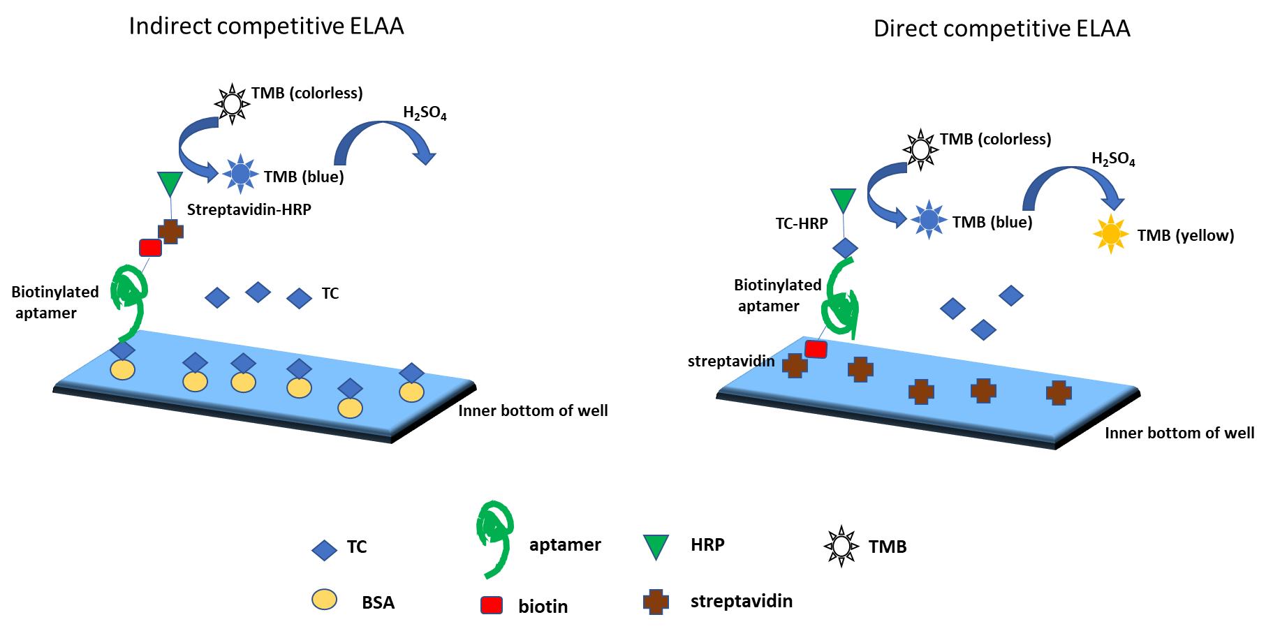 Fig. 1. Aptamer-based assay formats. (A) Small-molecule target buried within the binding pockets of aptamer structures; (B) single-site format; (C) dual-site (sandwich) binding format with two aptamers; and, (D) ‘‘sandwich’’ binding format with an aptamer and an antibody.