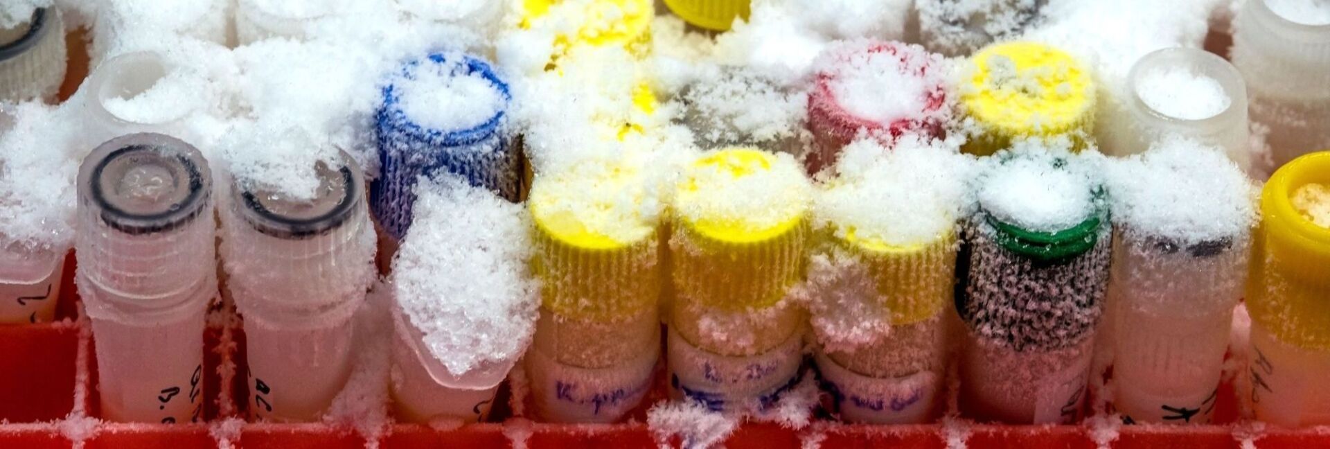It May Seem like It’s Raining Reagents, but It’s Only Companies with the Same Catalogs