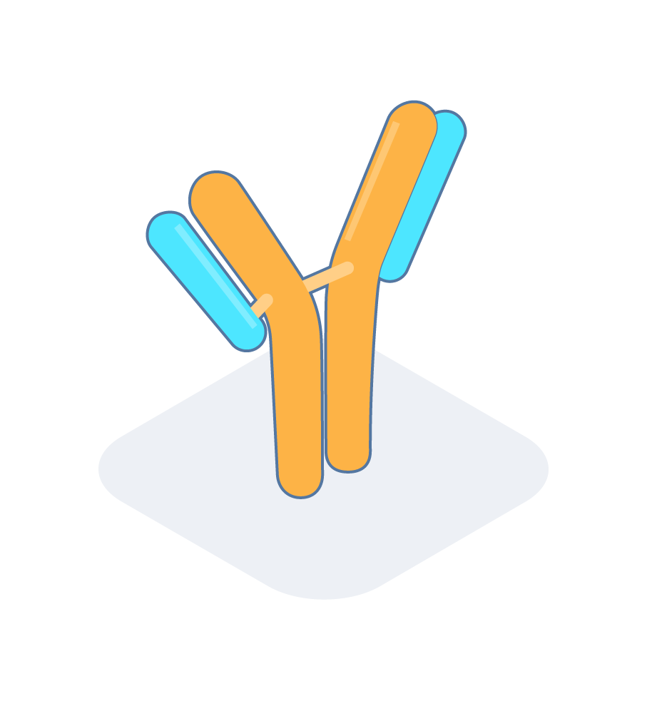 An isometric icon of an antibody on a white background.