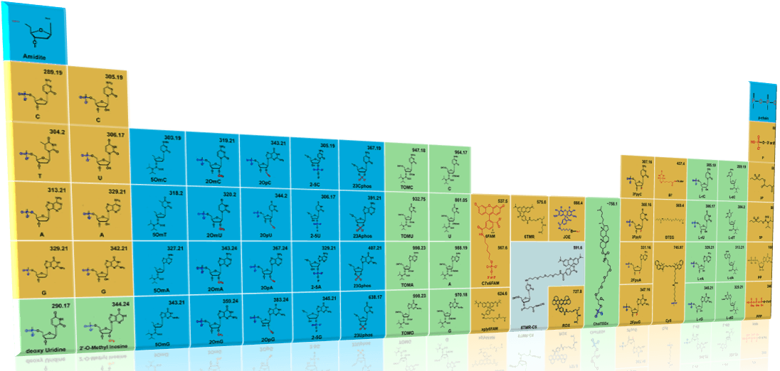 An Ultimate Guide for Building Oligos