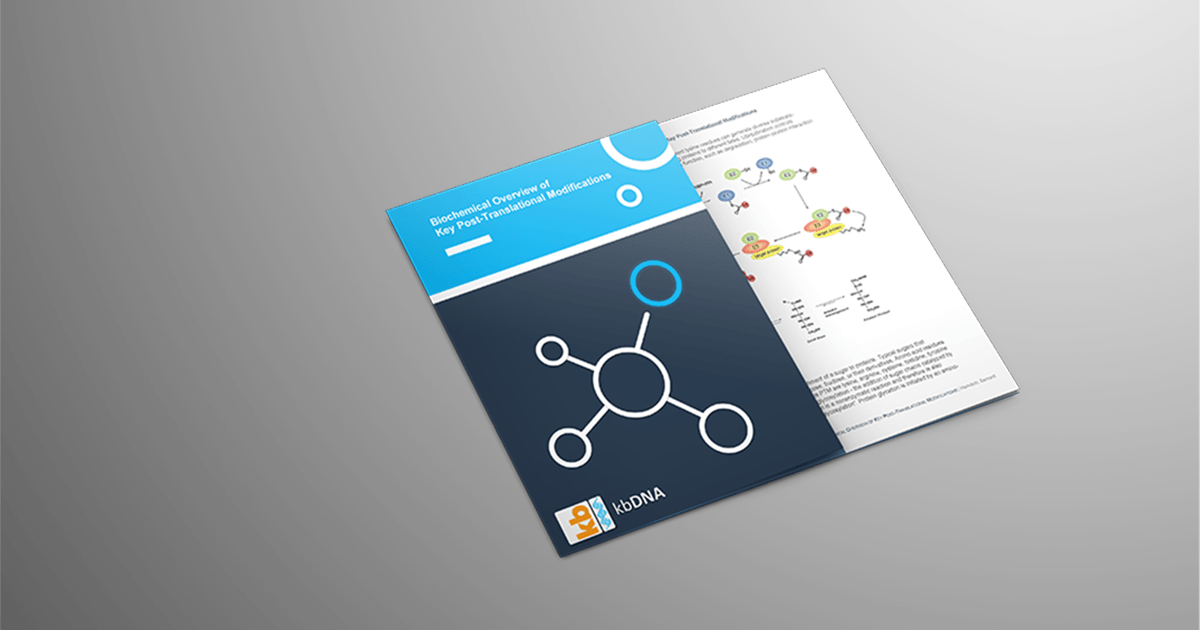 Cover Image: Biochemical Overview of Key Post-Translational Modifications