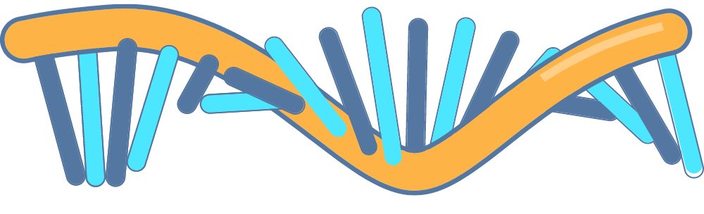 A strand of DNA Icon