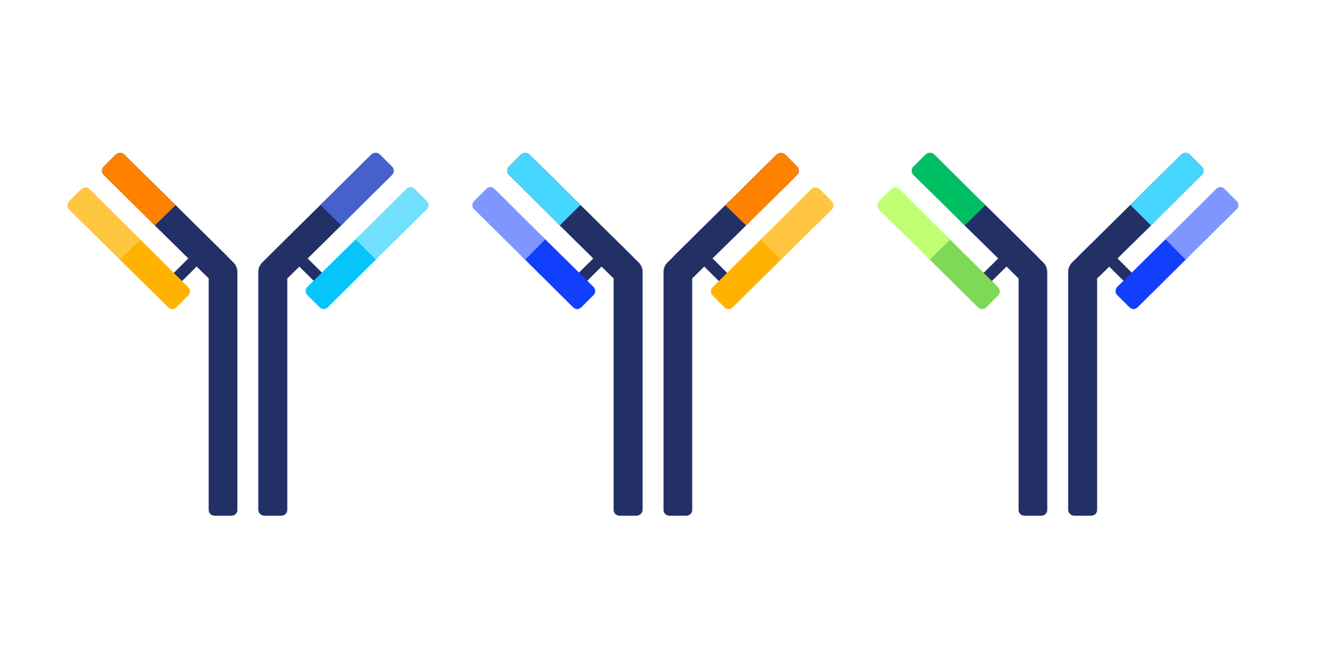 A row of colorful antibodies on a white background.