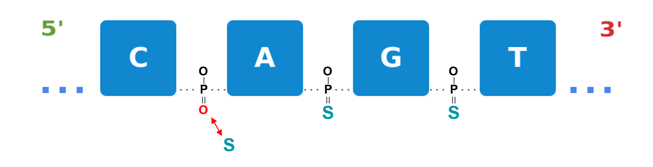 a) Backbone | Sequence Modification to the phosphate backbone structure