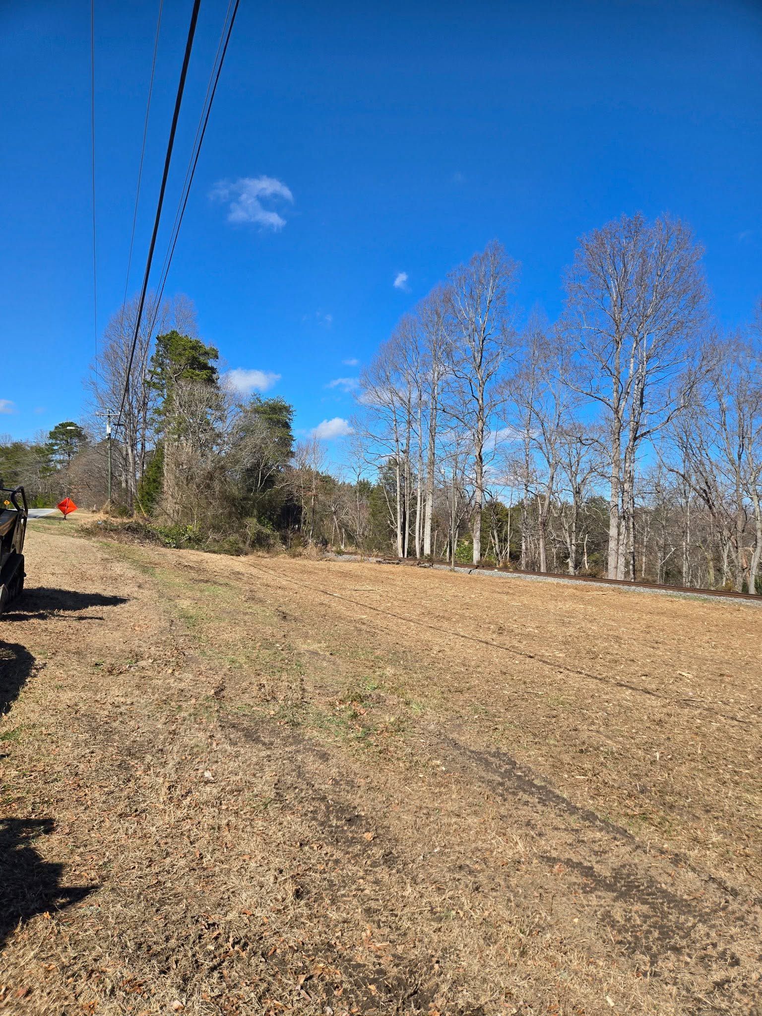 Grassy slope beside a road under a clear blue sky, with trees and power lines in the background.