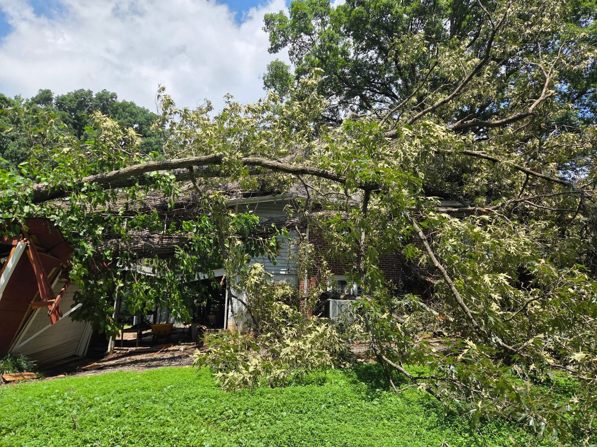 A leafy garden with a pergola, lush green grass, and trees under a partly cloudy sky.