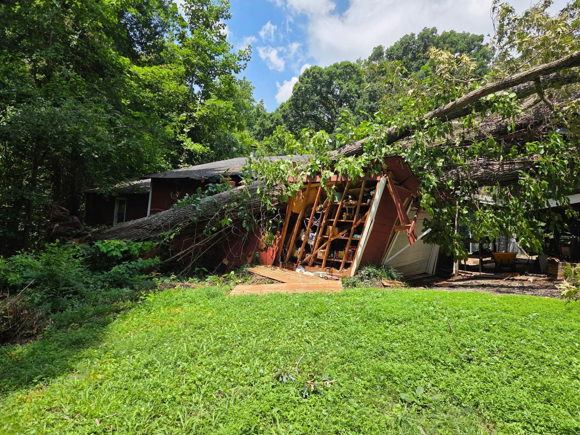 Collapsed wooden shed in a sunny green yard, with trees and a blue sky overhead