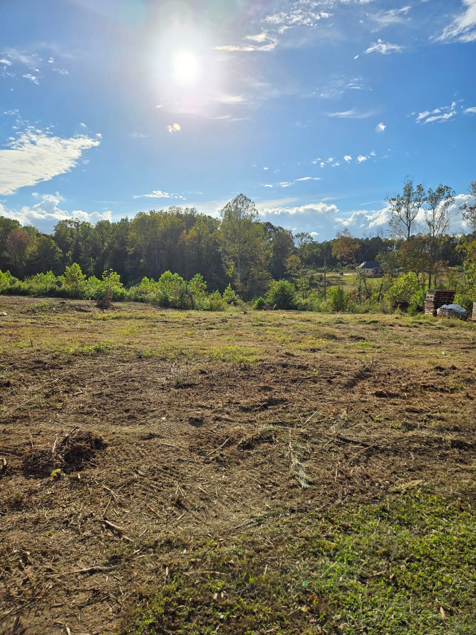 Sunny field with freshly cut grass, trees in the distance, and a bright blue sky with scattered clouds.