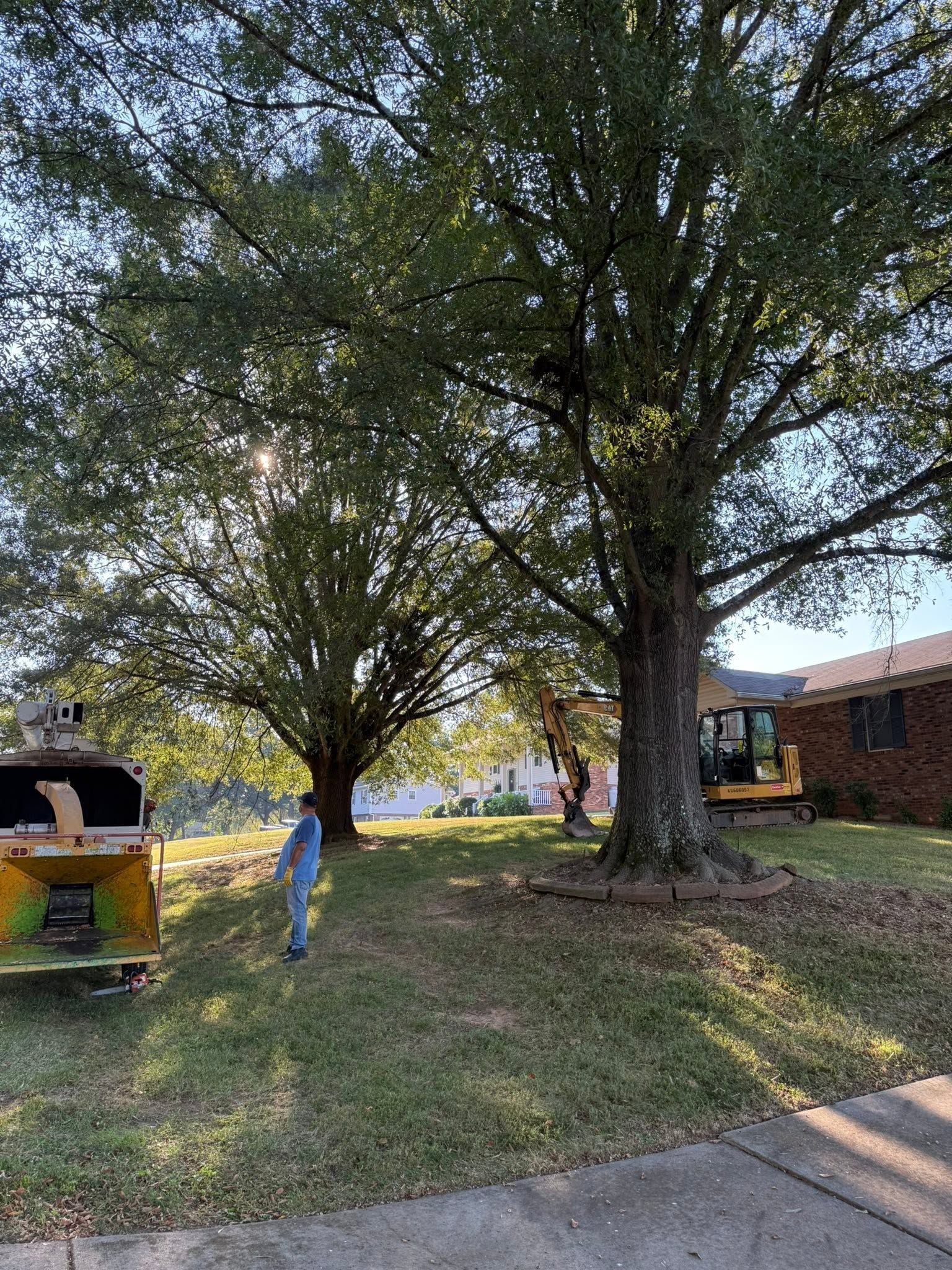 Front yard with large trees, a person in blue, a parked vehicle, and a brick house by a sidewalk