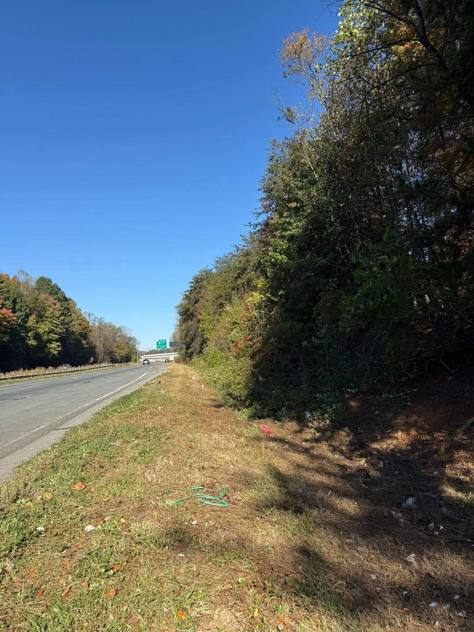 Grassy roadside beside a gravel road under a clear blue sky, with trees lining both sides.