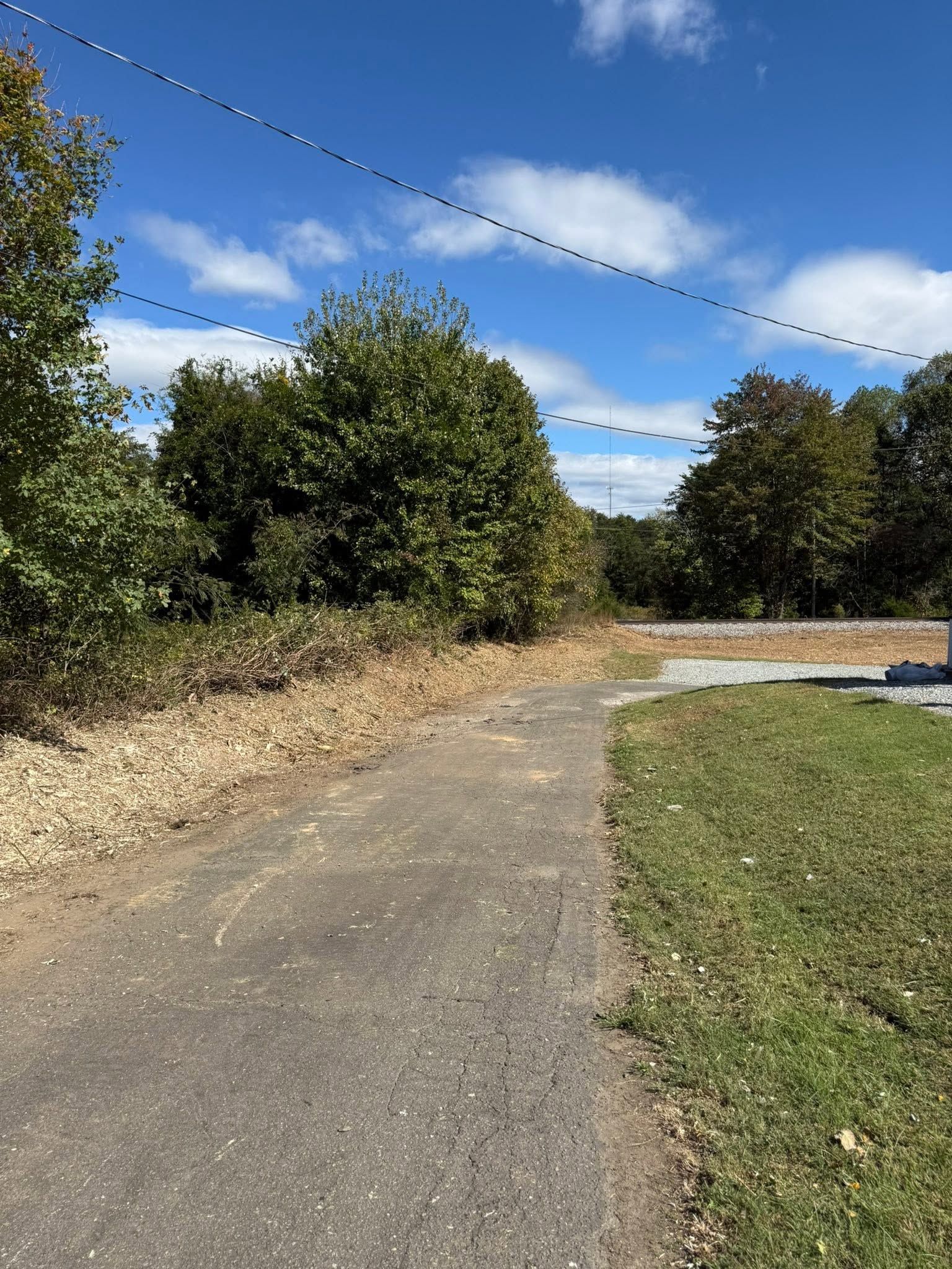 Paved path curving through trees and grass under a blue sky with scattered clouds