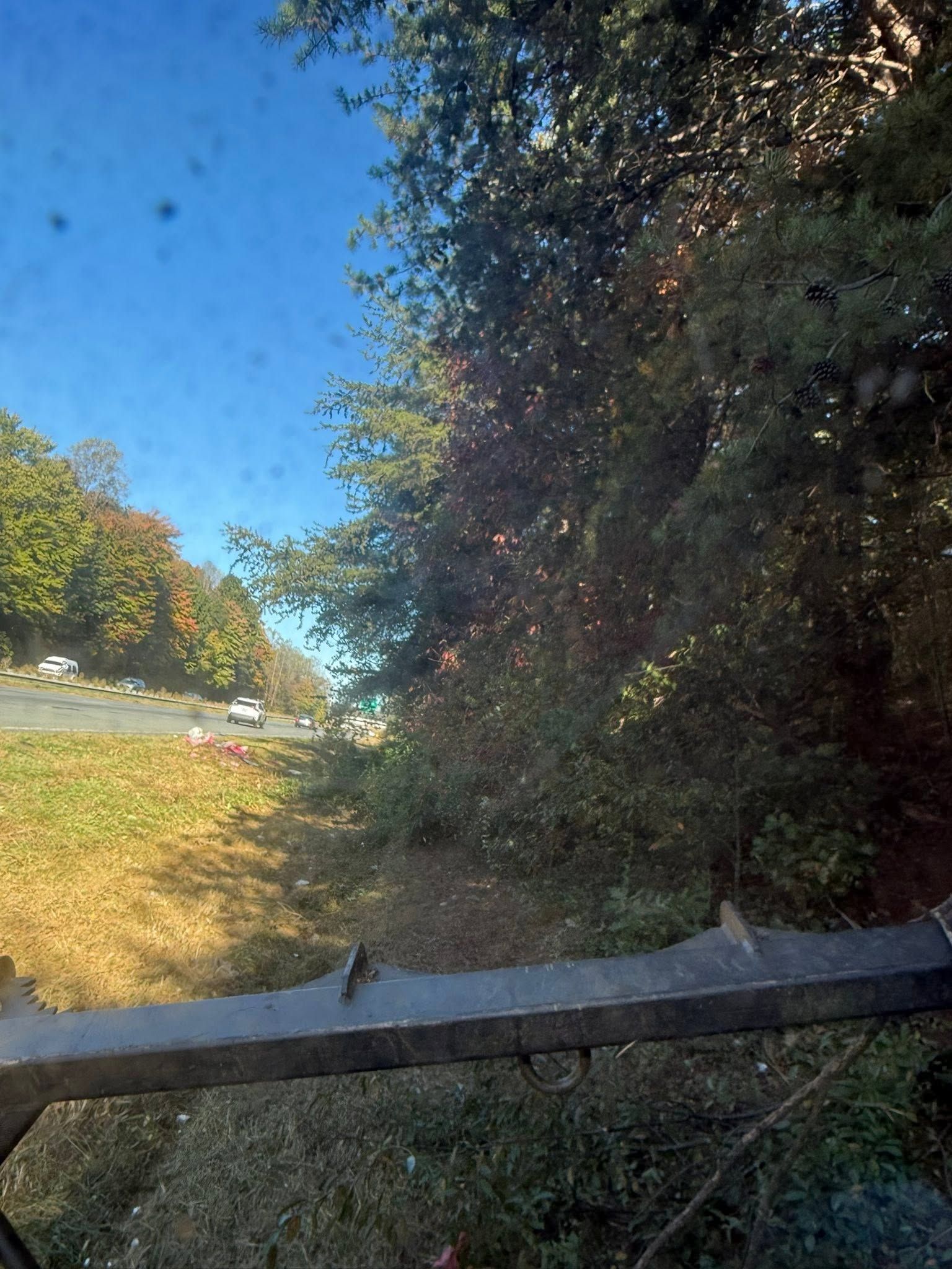 View through a car windshield of a sunny roadside with trees and blue sky.