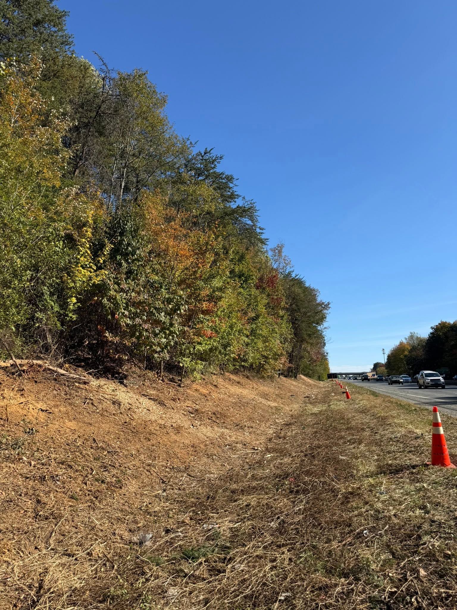 Gravel roadside beside dense autumn trees under a clear blue sky, with an orange traffic cone in the distance