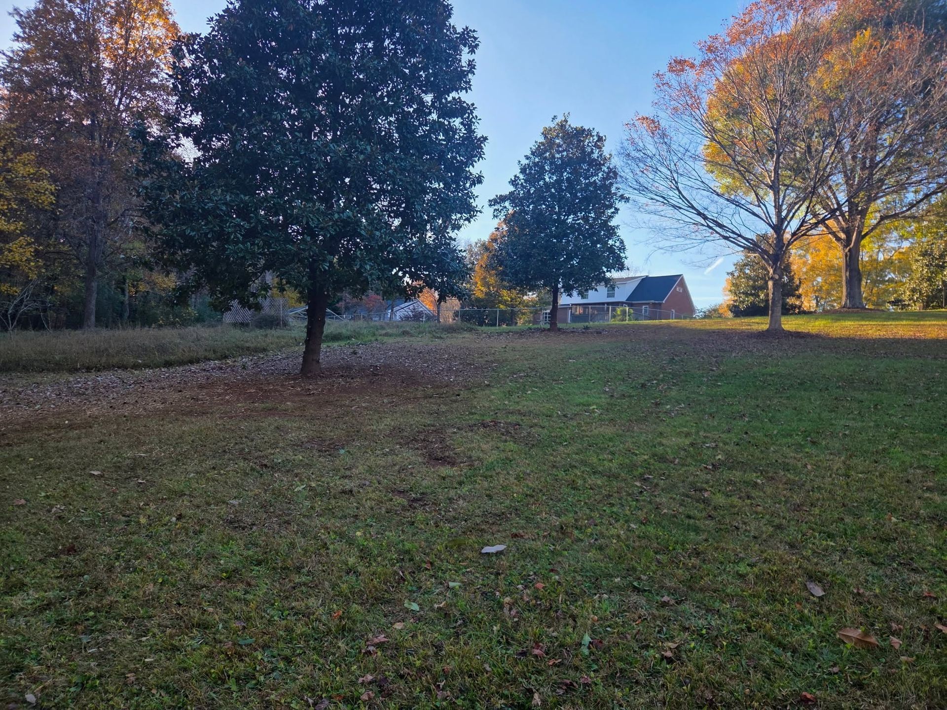 Grassy park at dusk with tall trees, a distant house, and autumn foliage under a blue sky