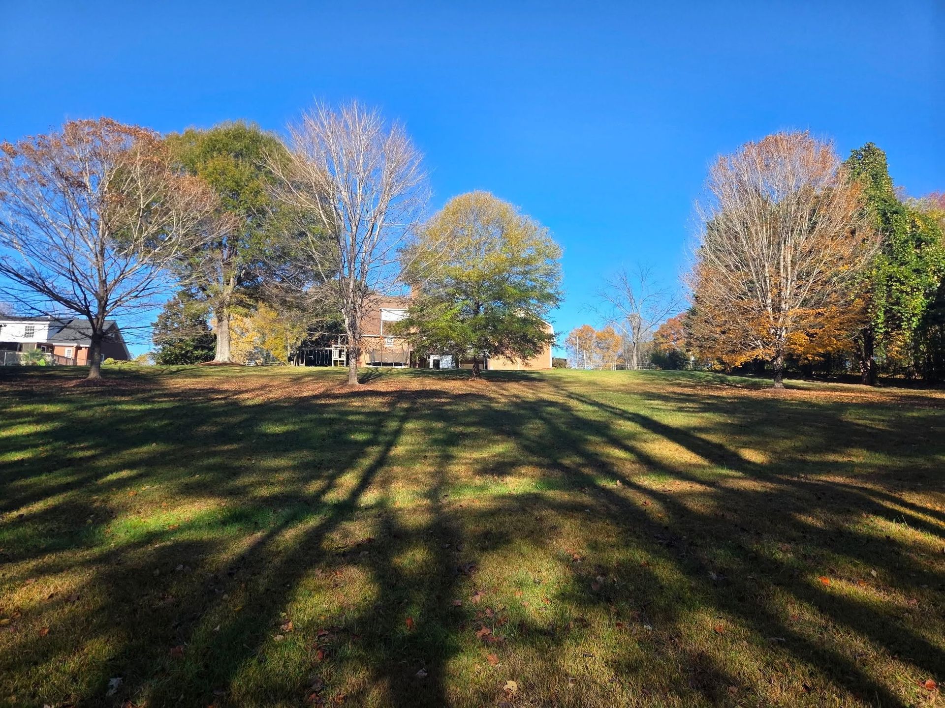 Sunlit grassy field with long tree shadows, autumn trees, and houses under a clear blue sky