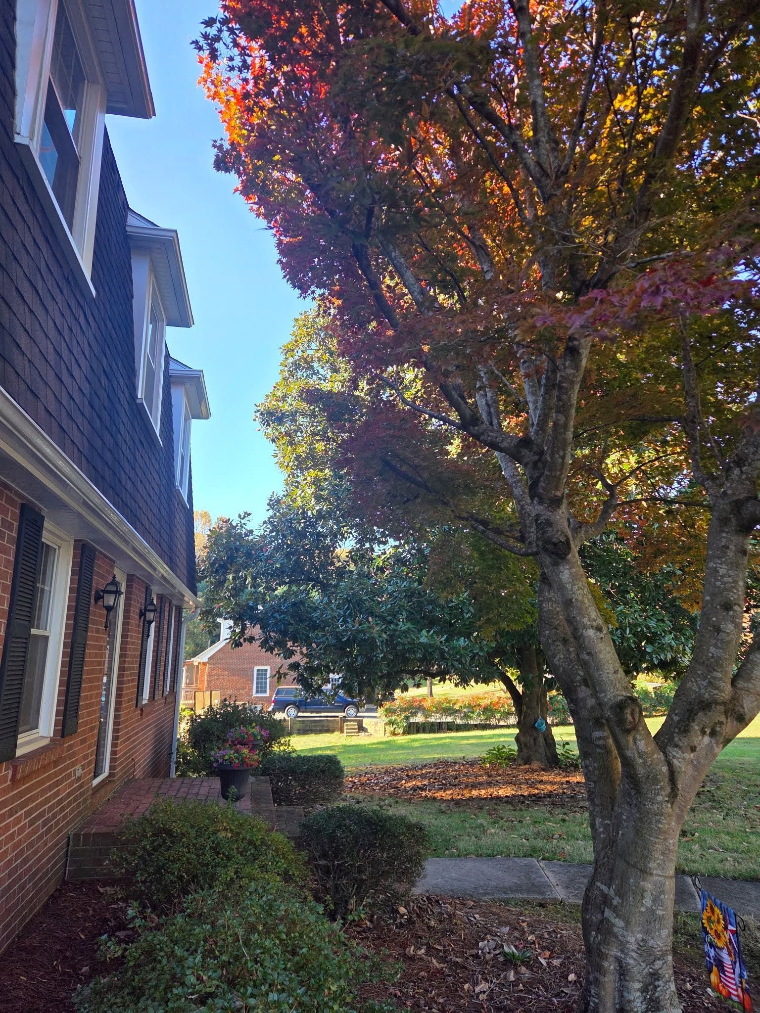 Brick house beside a tree-lined yard in autumn with colorful leaves and a sunlit path