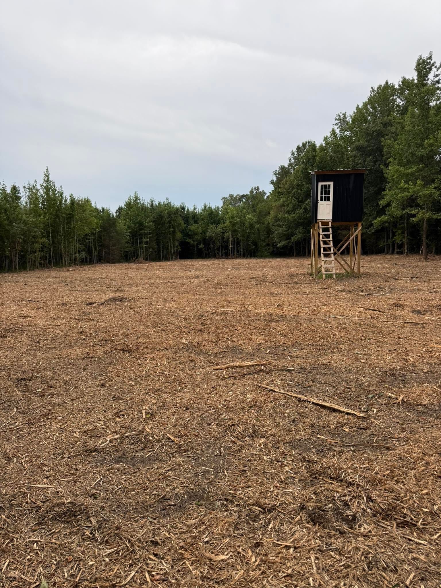 Gravel clearing with a small black hunting blind on stilts near a tree line under cloudy sky