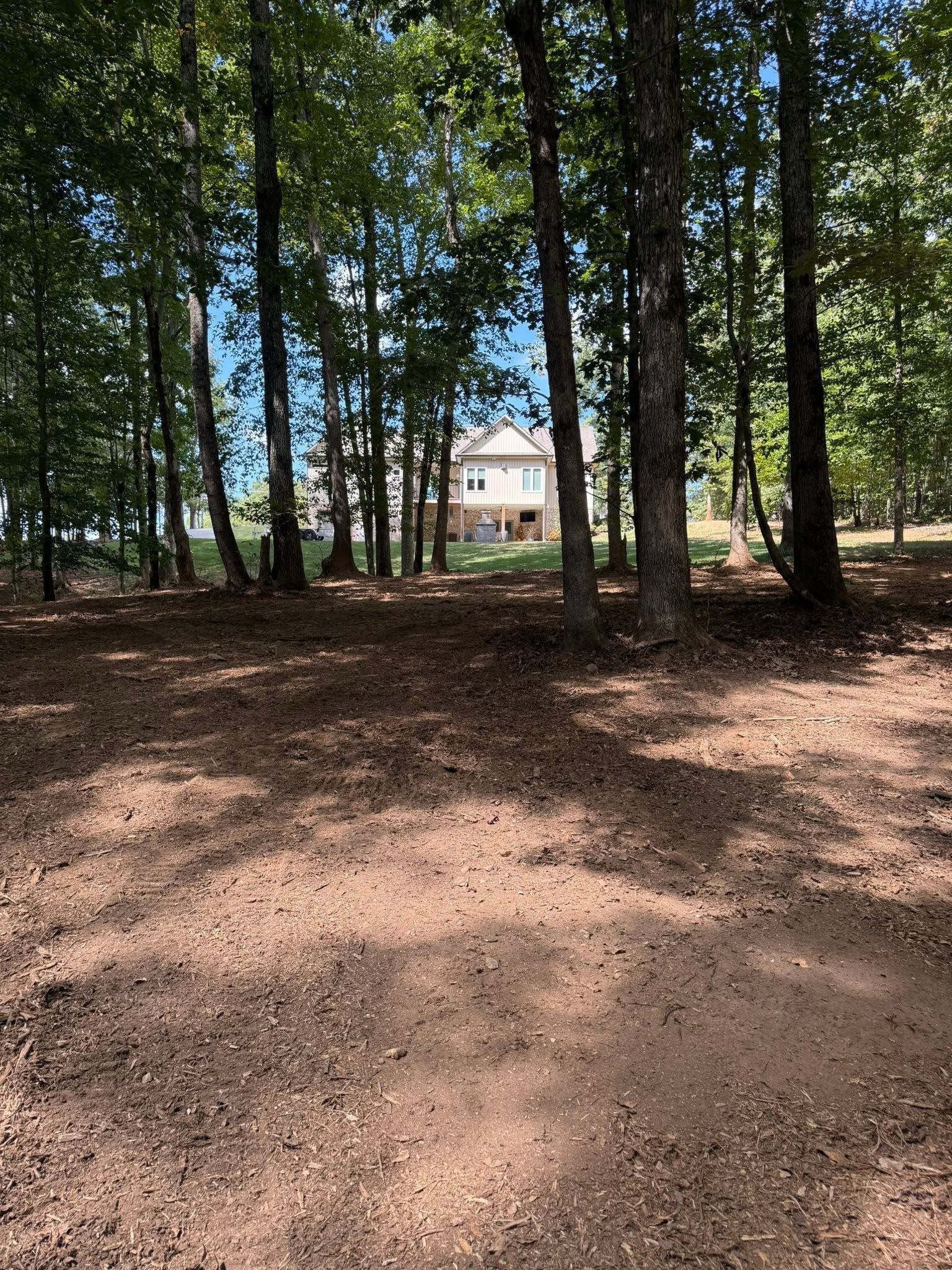 Wooded clearing with tall trees and a house visible in the distance