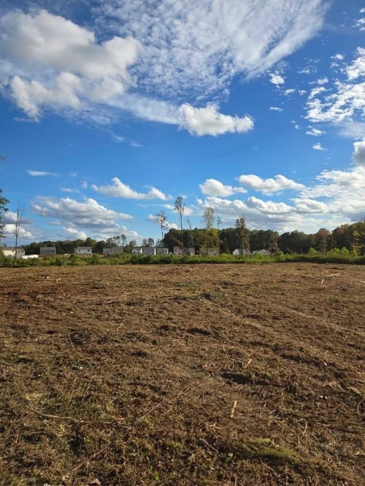 Open field under a bright blue sky with scattered clouds and a line of trees in the distance