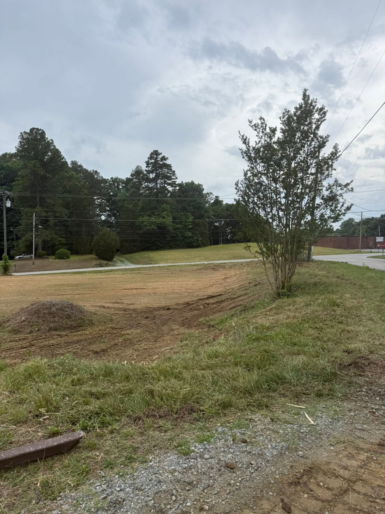 Gravel roadside with grassy ditch, small tree, and cloudy sky beside a paved area