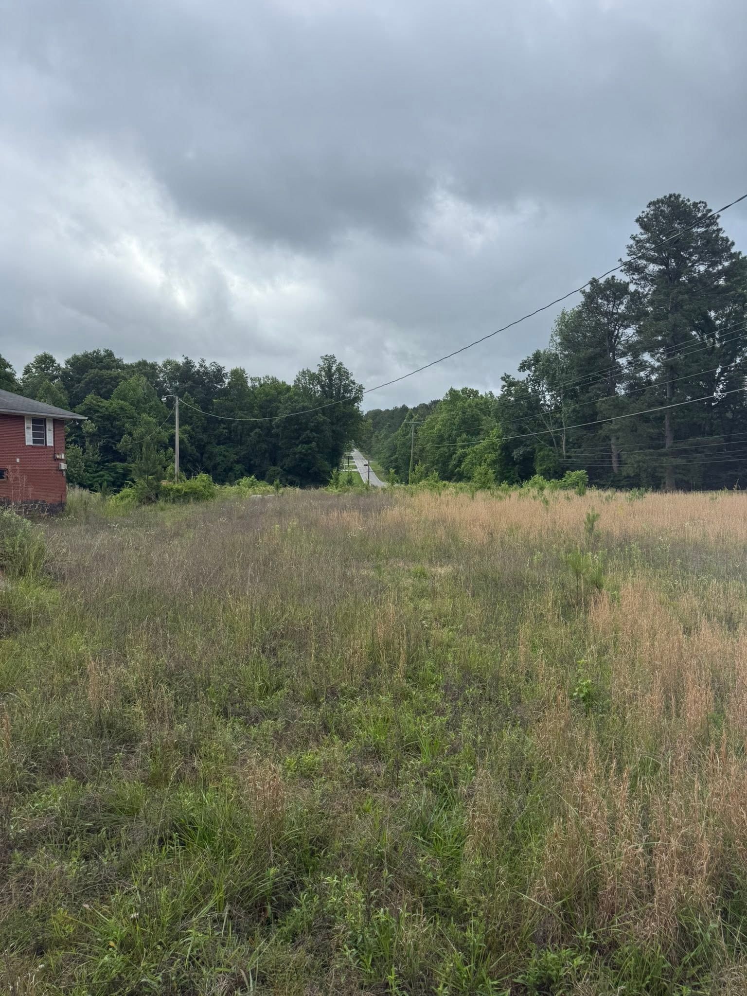 Overgrown field under cloudy sky, with trees and a small red building at left