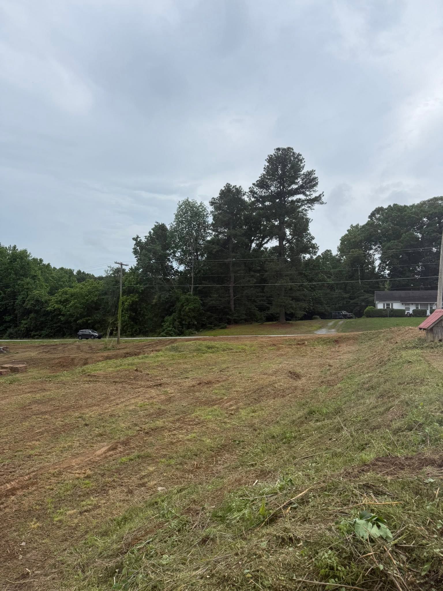 Grassy field under cloudy sky with trees and a house in the distance