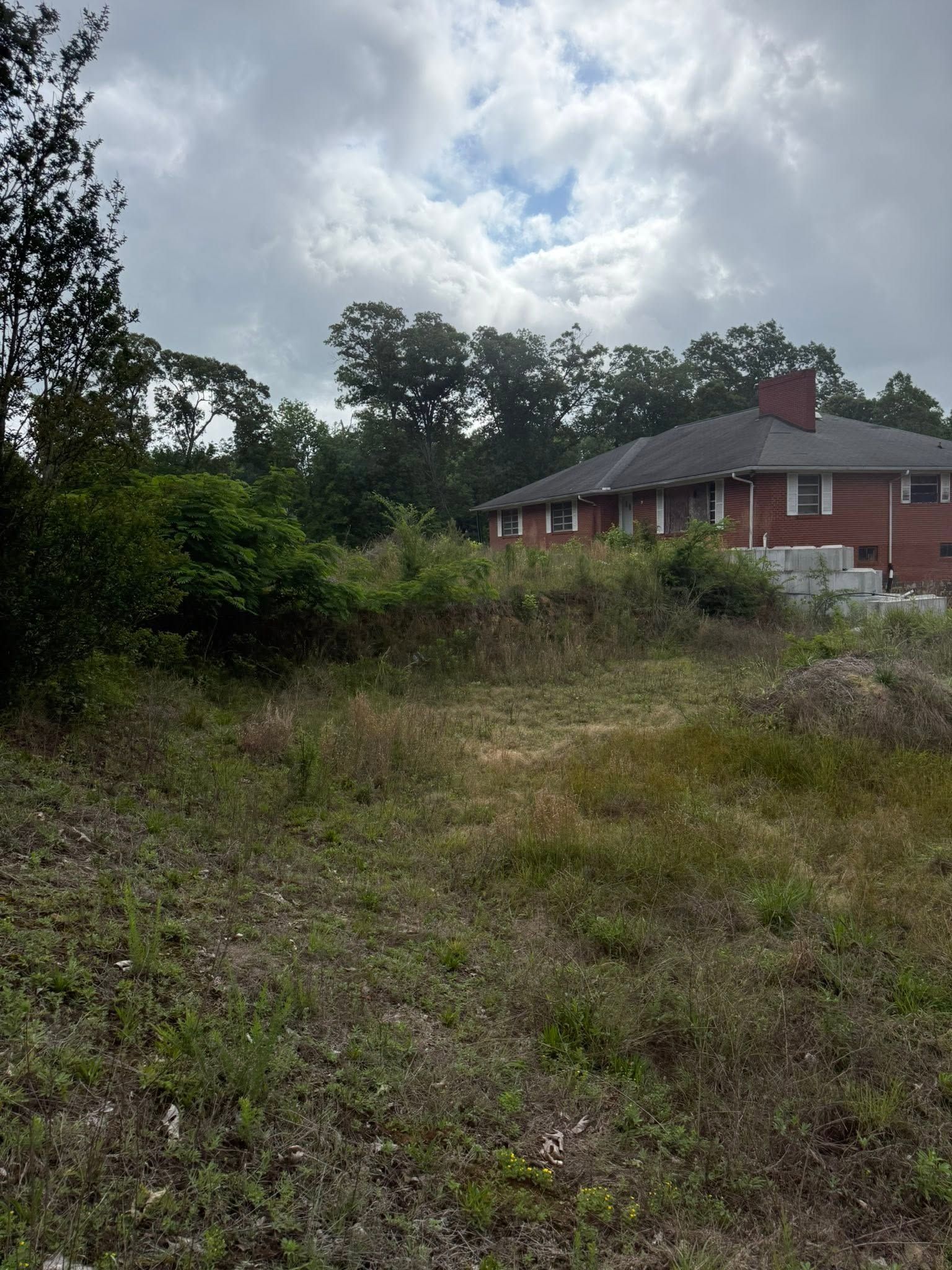 Overgrown grassy lot beside a red brick house under a cloudy sky